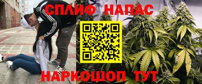 СК Брянск