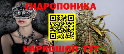 СК Брянск
