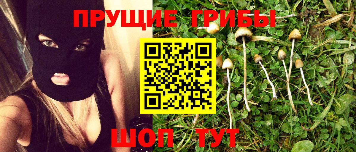 купить наркотик  Галлюциногенные грибы MAGIC MUSHROOMS  Вход с VPN  Строитель 